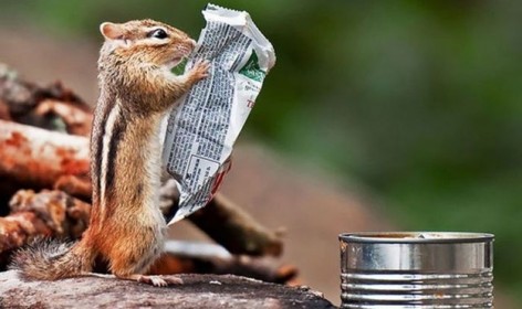 How To Boost Your Reading Speed